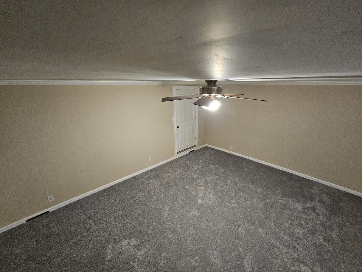 Freshly painted beige bedroom walls with white crown molding, ceiling fan, and gray carpeting.